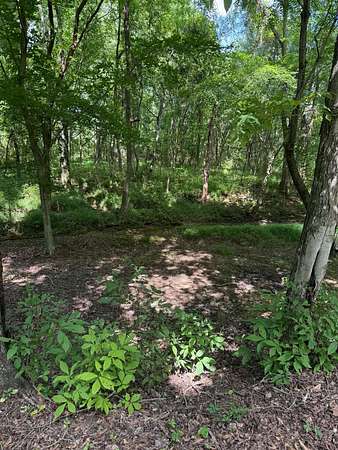 1.1 Acres of Residential Land for Sale in Rogersville, Alabama