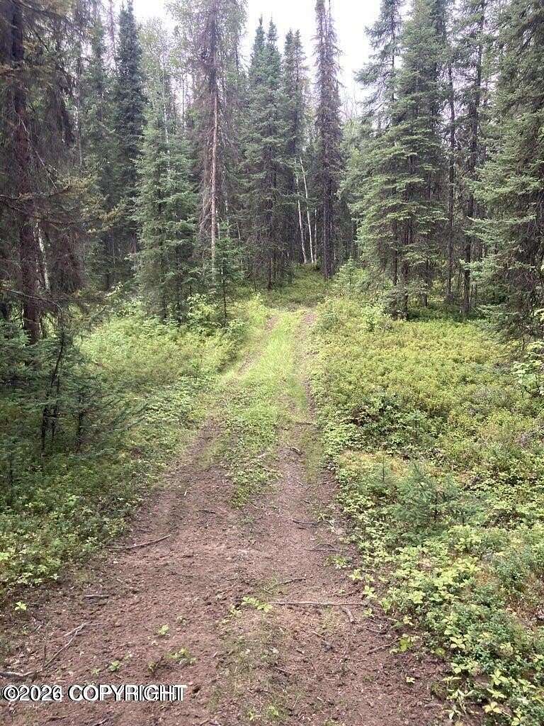 40 Acres of Recreational Land for Sale in Wasilla, Alaska