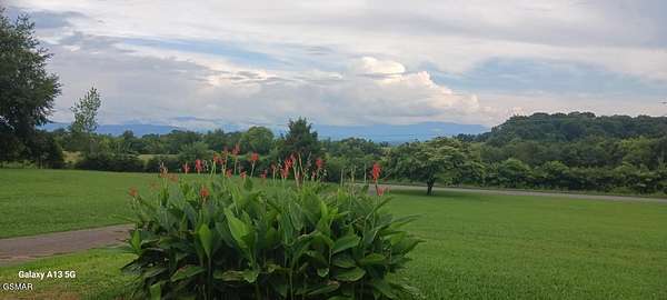 6 Acres of Residential Land for Sale in Dandridge, Tennessee