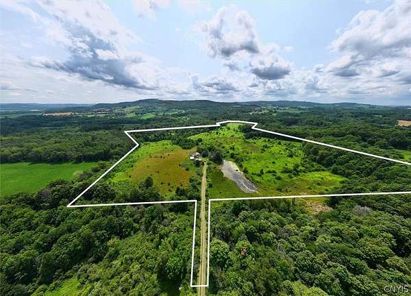 65.5 Acres of Improved Agricultural Land for Sale in Cassville, New York