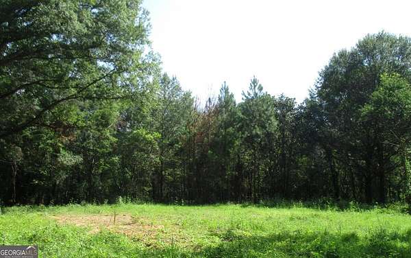8.77 Acres of Residential Land for Sale in Macon, Georgia