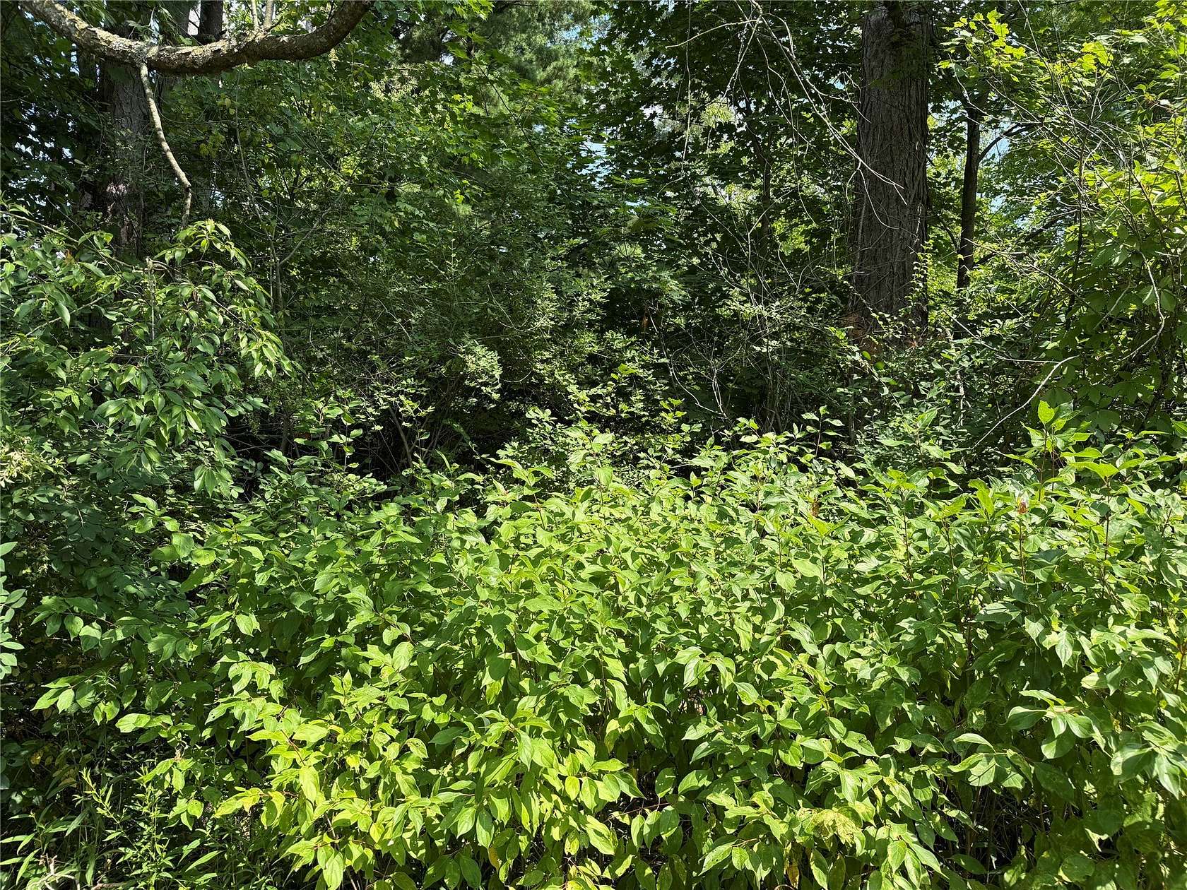 2.84 Acres of Residential Land for Sale in Espyville, Pennsylvania
