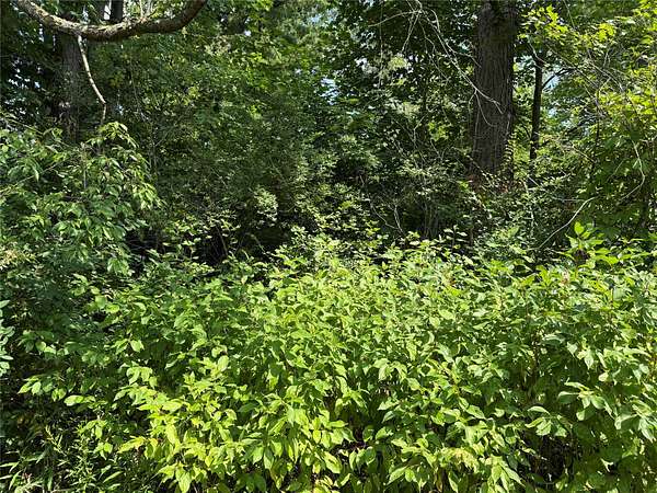 2.84 Acres of Residential Land for Sale in Espyville, Pennsylvania