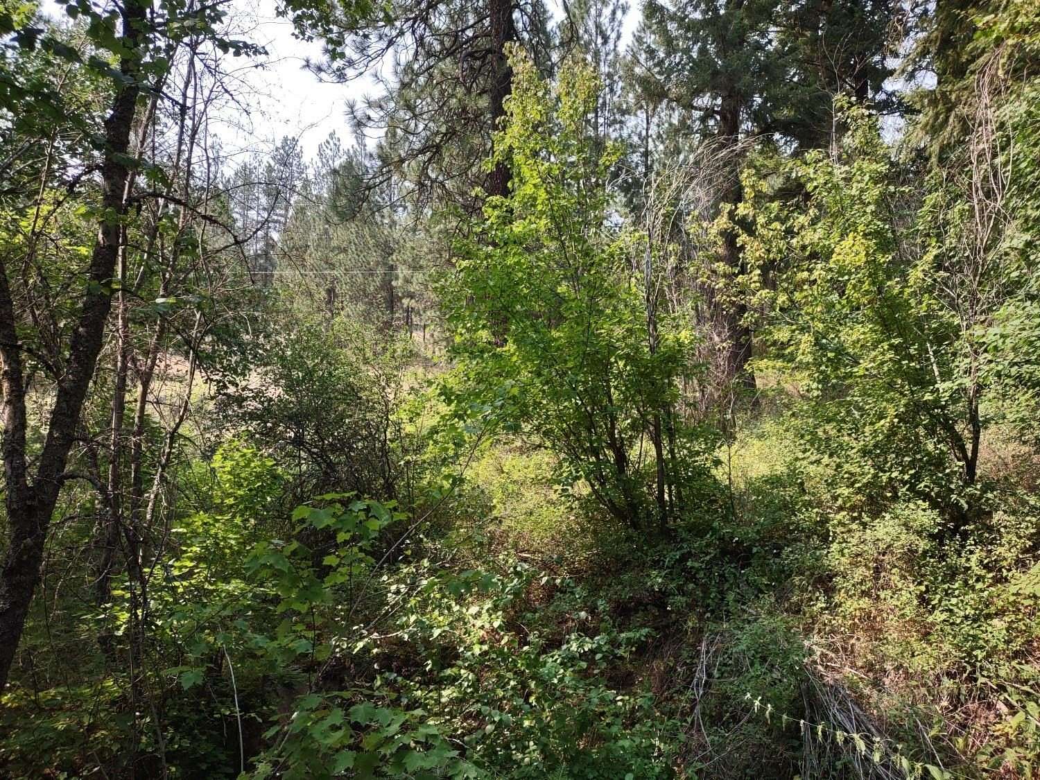 10 Acres of Recreational Land for Sale in Spokane, Washington