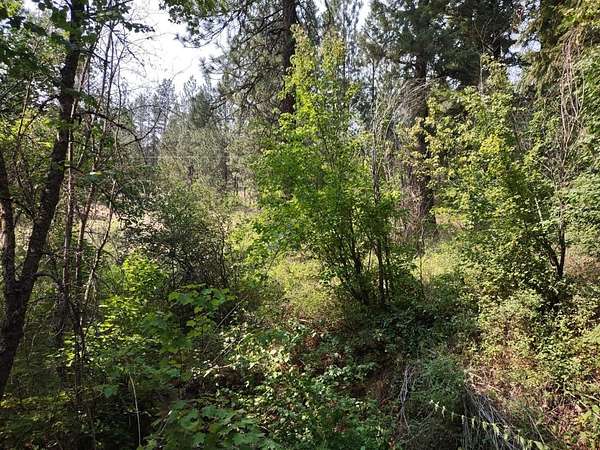 10 Acres of Recreational Land for Sale in Spokane, Washington
