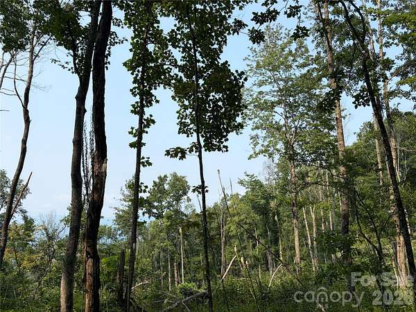 2 Acres of Residential Land for Sale in Burnsville, North Carolina