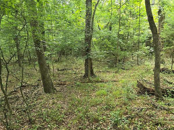 2.68 Acres of Residential Land for Sale in Quinlan, Texas