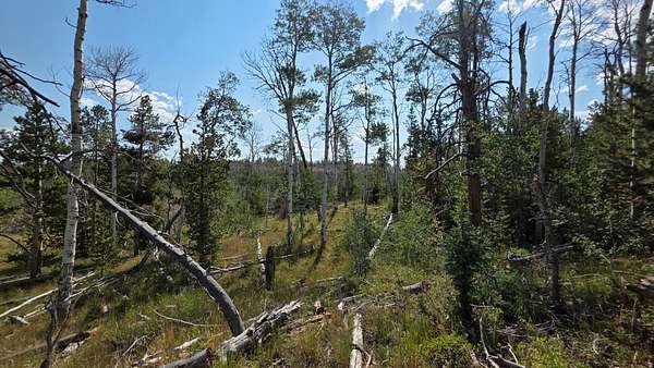 4.66 Acres of Land for Sale in Kamas, Utah