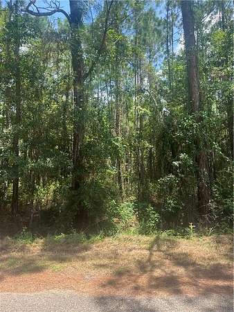 1 Acre of Residential Land for Sale in Bayou La Batre, Alabama