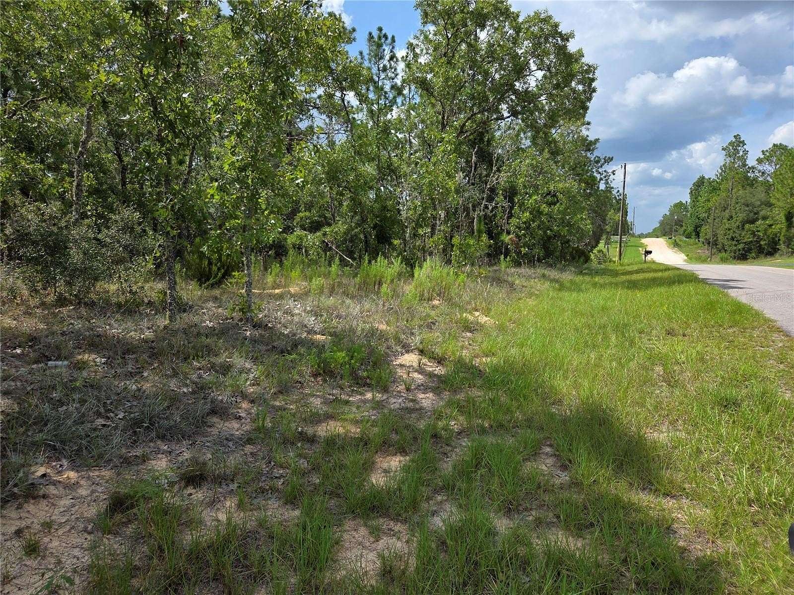 0.23 Acres of Land for Sale in Williston, Florida