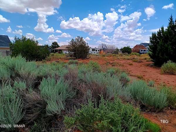 0.38 Acres of Residential Land for Sale in Snowflake, Arizona