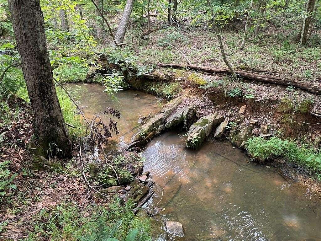 31.8 Acres of Land for Sale in Reidsville, North Carolina