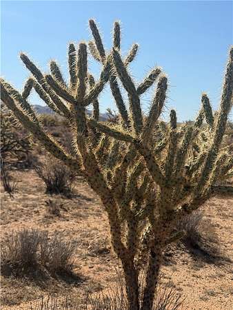 1.25 Acres of Residential Land for Sale in Dolan Springs, Arizona