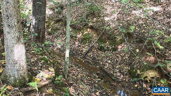 10 Acres of Recreational & Residential Land for Sale in Shipman, Virginia