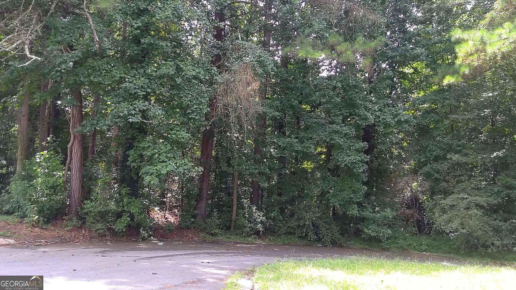 1.3 Acres of Residential Land for Sale in South Fulton, Georgia