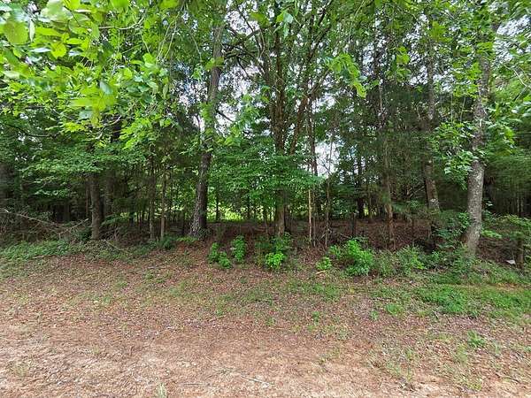 1 Acre of Residential Land for Sale in Sparta, Georgia