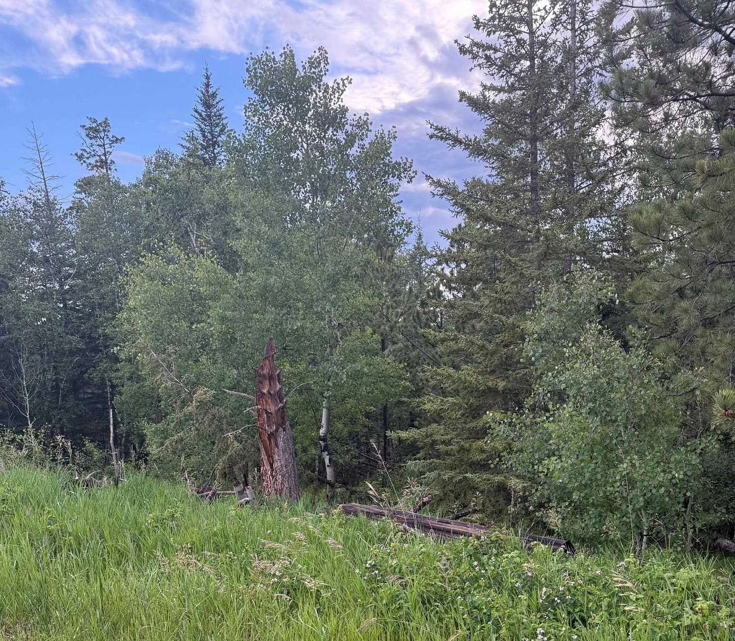 6 Acres of Land for Sale in Lead, South Dakota