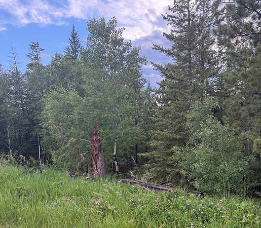 6 Acres of Land for Sale in Lead, South Dakota