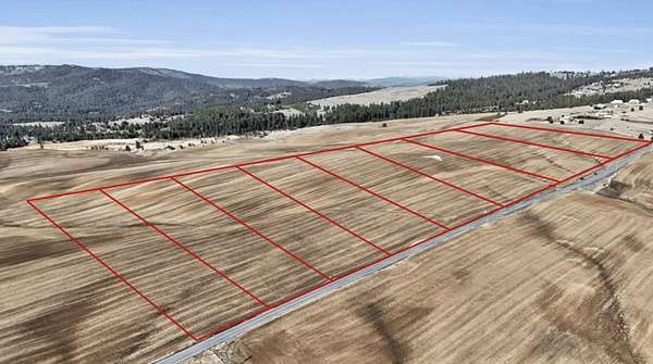 10 Acres of Residential Land for Sale in Mica, Washington