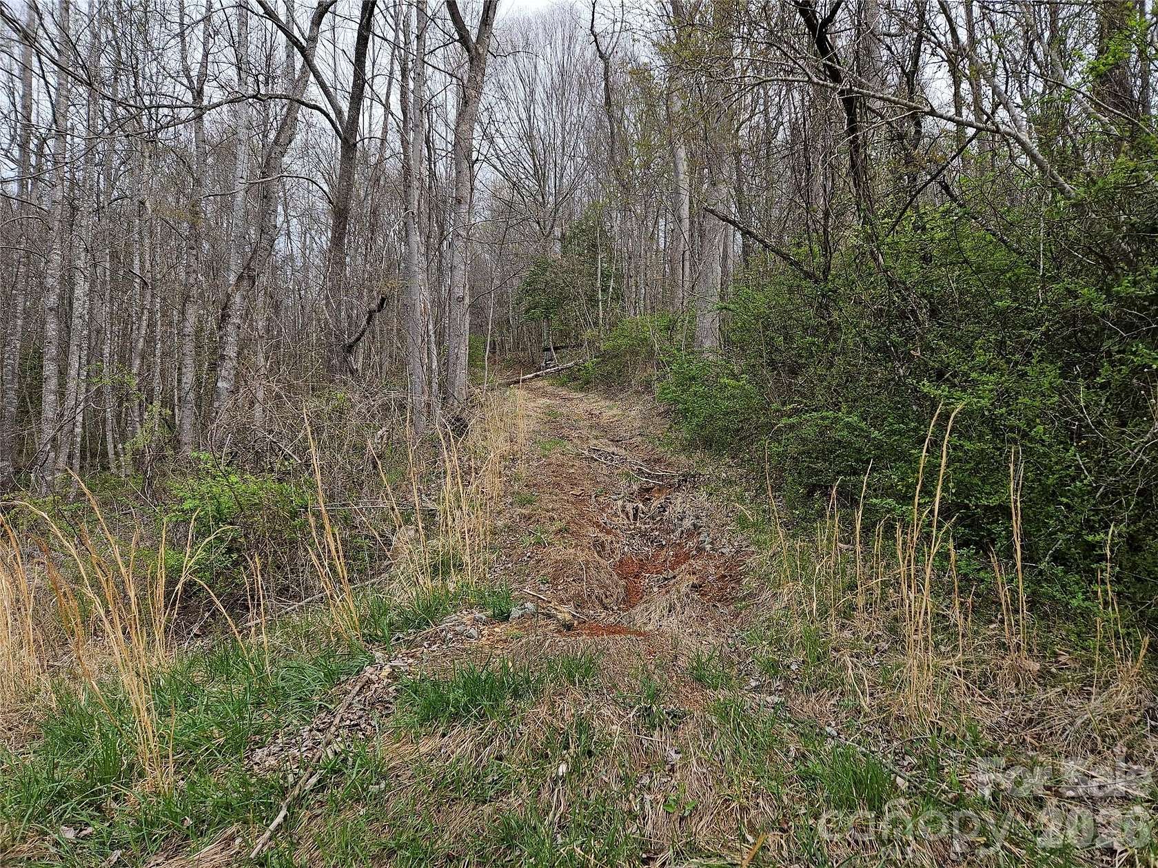 1 Acre of Residential Land for Sale in Swannanoa, North Carolina
