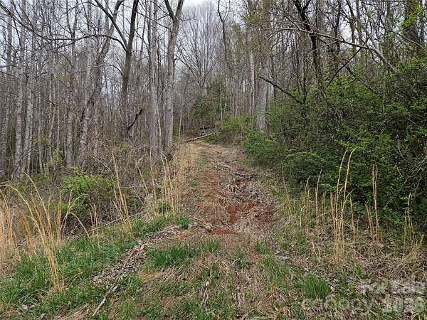 1 Acre of Residential Land for Sale in Swannanoa, North Carolina