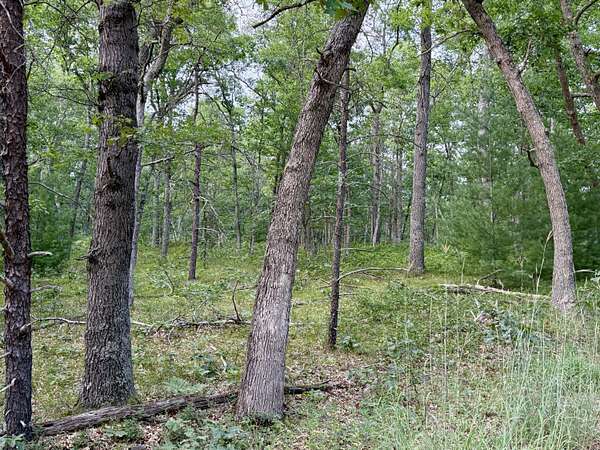 1.9 Acres of Land for Sale in Manistee, Michigan