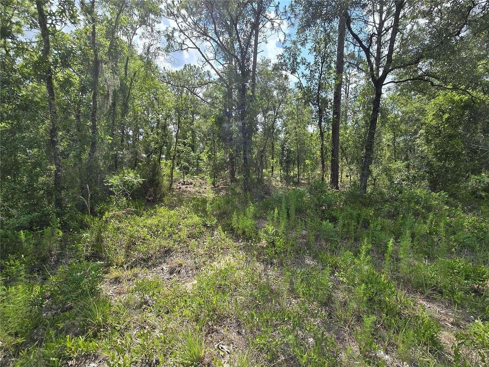 1 Acre of Residential Land for Sale in Williston, Florida