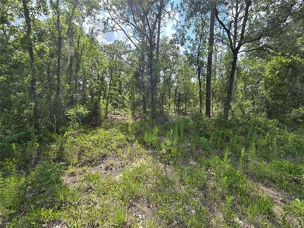 1 Acre of Residential Land for Sale in Williston, Florida