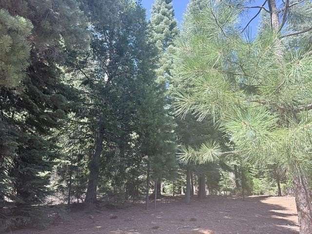 0.21 Acres of Residential Land for Sale in Lake Almanor Peninsula, California
