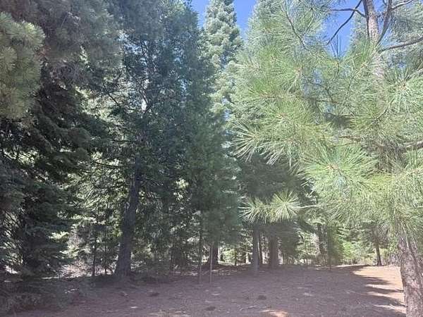 0.21 Acres of Residential Land for Sale in Lake Almanor Peninsula, California