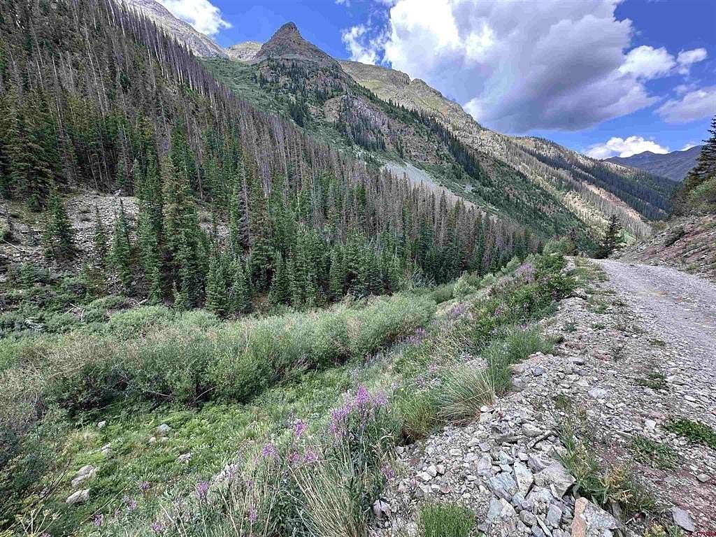 9.3 Acres of Land for Sale in Silverton, Colorado