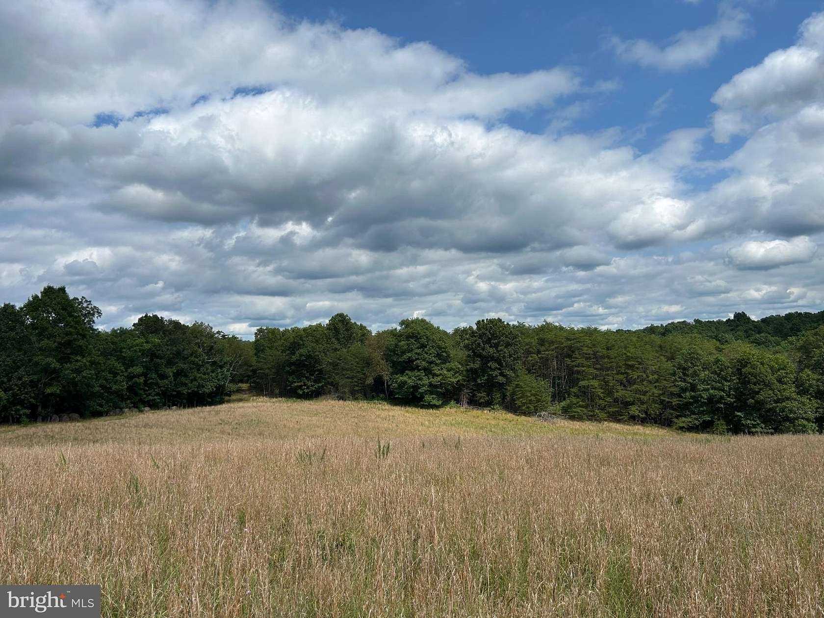 20.5 Acres of Recreational & Residential Land for Sale in Winchester, Virginia