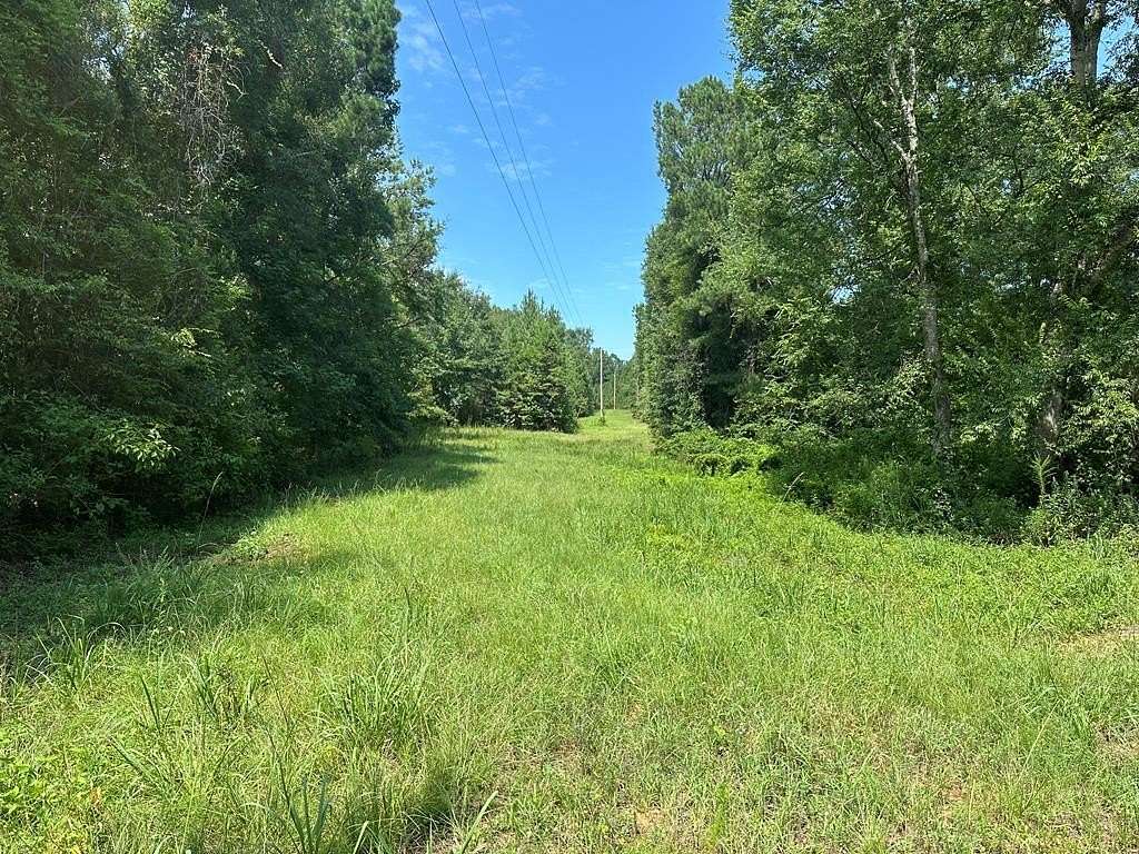 8 Acres of Residential Land for Sale in Abbeville, Alabama