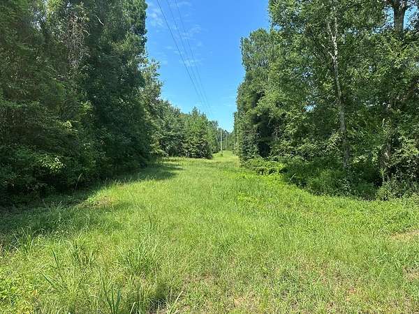 8 Acres of Residential Land for Sale in Abbeville, Alabama
