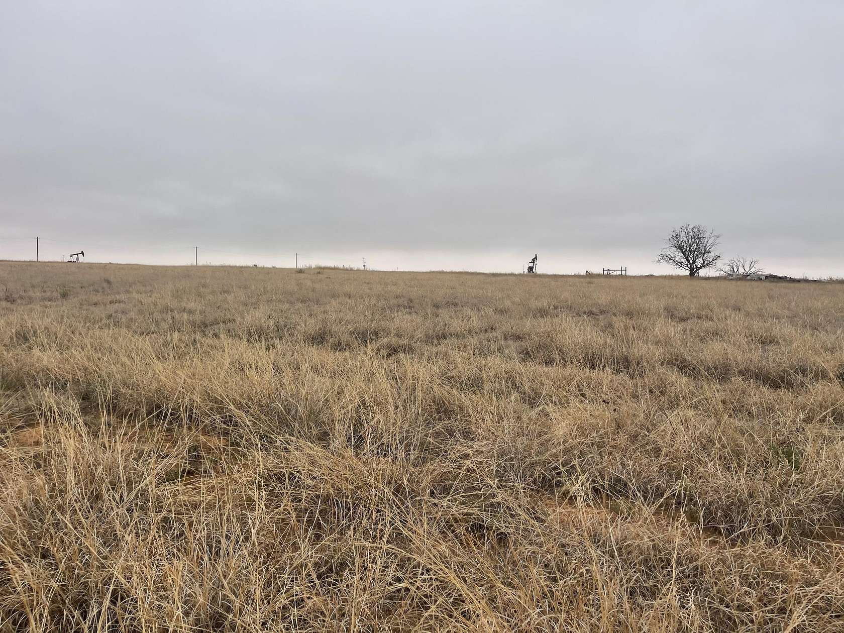 340 Acres of Agricultural & Residential Land for Sale in Shallowater, Texas