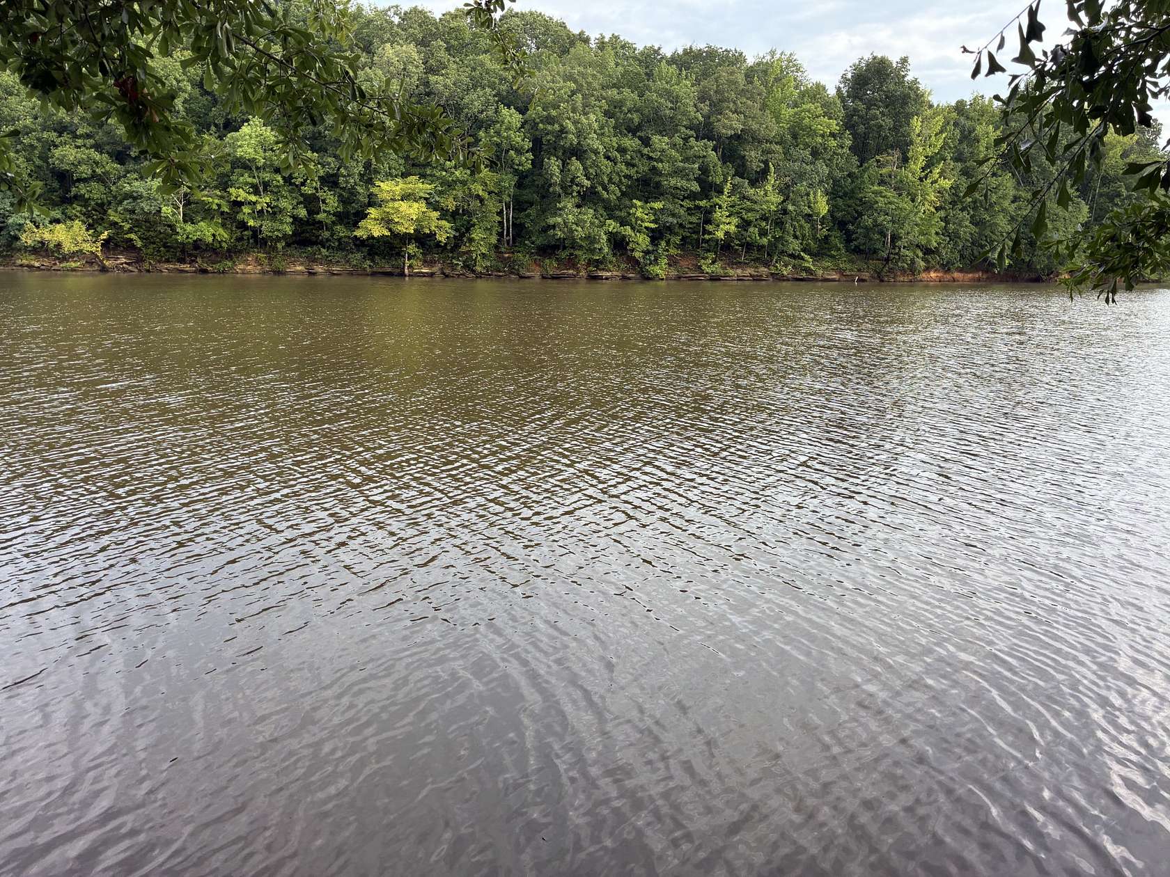 Residential Land for Sale in Decaturville, Tennessee