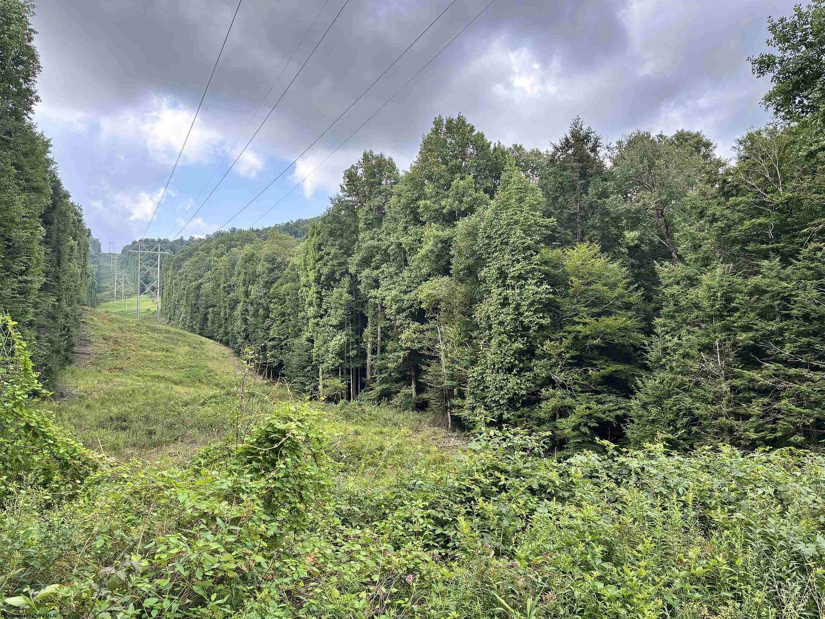 50 Acres of Land for Sale in Pickens, West Virginia