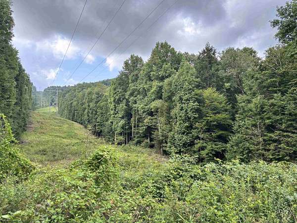 50 Acres of Land for Sale in Pickens, West Virginia