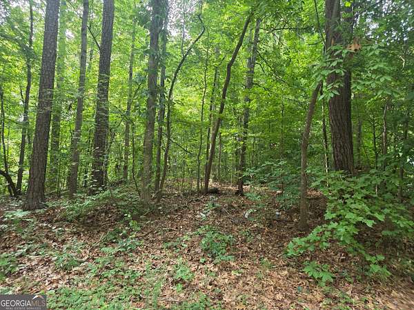 Residential Land for Sale in Stockbridge, Georgia