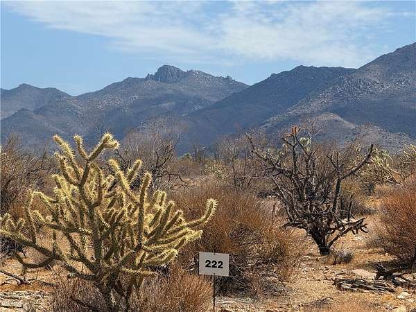 1.13 Acres of Residential Land for Sale in Golden Valley, Arizona