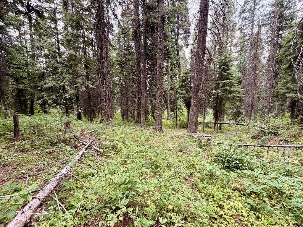 2.67 Acres of Land for Sale in Donnelly, Idaho