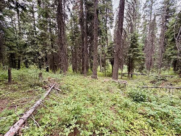 2.67 Acres of Land for Sale in Donnelly, Idaho