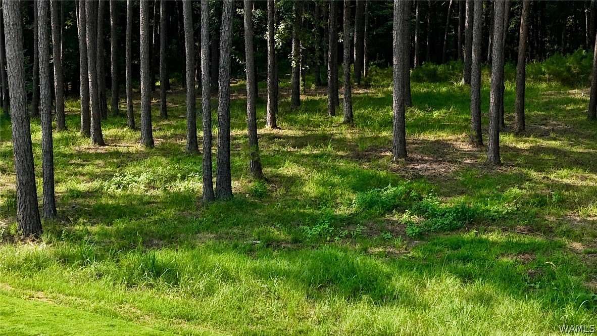 9.38 Acres of Residential Land for Sale in Northport, Alabama