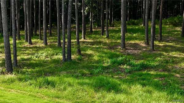 9.38 Acres of Residential Land for Sale in Northport, Alabama