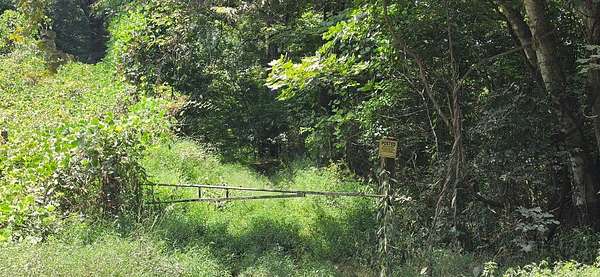27 Acres of Recreational Land for Sale in Wynne, Arkansas