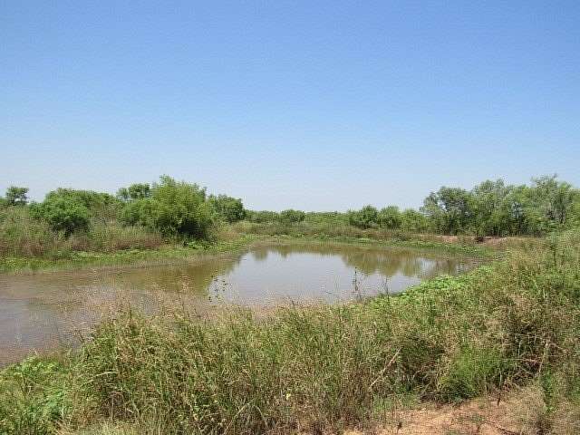 10 Acres of Recreational & Residential Land for Sale in Brookesmith, Texas