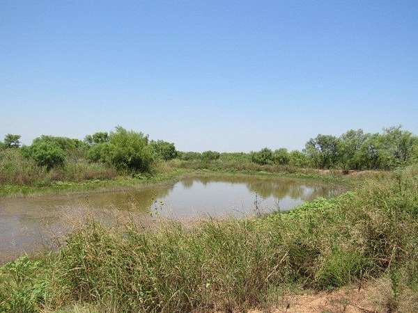 10 Acres of Recreational & Residential Land for Sale in Brookesmith, Texas