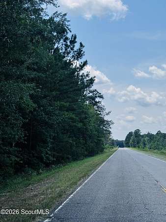 24.6 Acres of Recreational & Residential Land for Sale in Darien, Georgia
