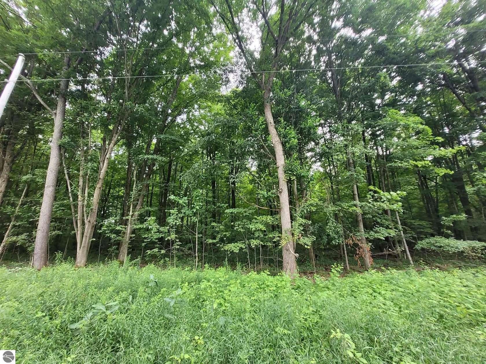 10 Acres of Land for Sale in Harrietta, Michigan