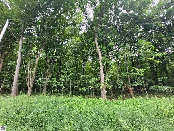 10 Acres of Land for Sale in Harrietta, Michigan